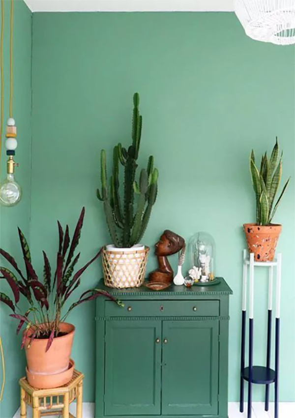 亚洲午夜天堂家具|薄（báo）荷綠，帶你走進清新世界